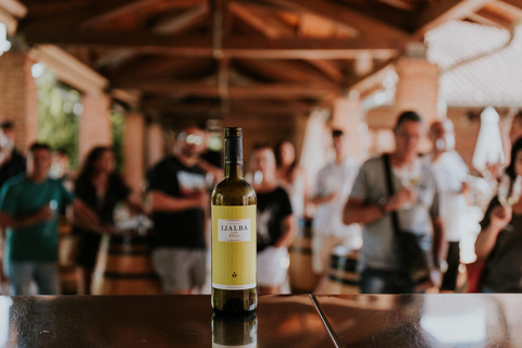 Logroño: guided tour + tasting of 3 wines at Viña Ijalba Logroño: Guided tour + tasting of 3 wines at Viña Ijalba