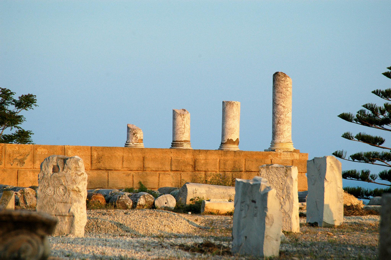 From Hammamet: Carthage and Sidi Bou Said Tour with Guide
