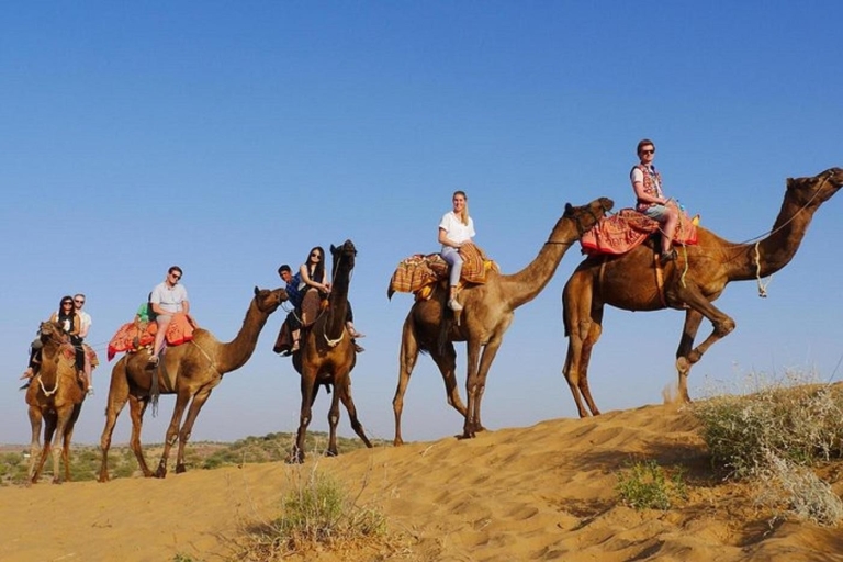 Un safari inoubliable à dos de chameau et en jeep, avec repas à Osian Villlage