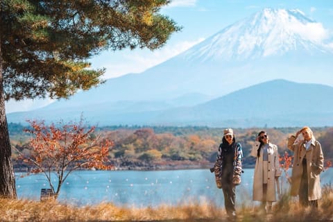 From Tokyo: Private Mt. Fuji and Hakone Tour by Car | GetYourGuide