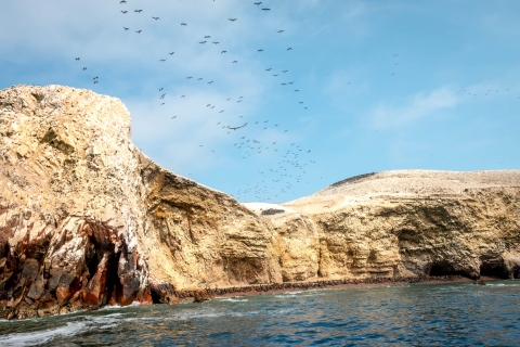 Wycieczka jednodniowa: Wyspy Ballestas i rezerwat przyrody Paracas