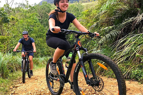 Kandy: Tea Plantations Cycling Tour with Local Bites