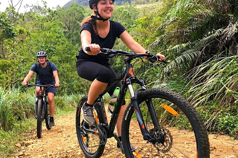 Kandy: Tea Plantations Cycling Tour with Local Bites