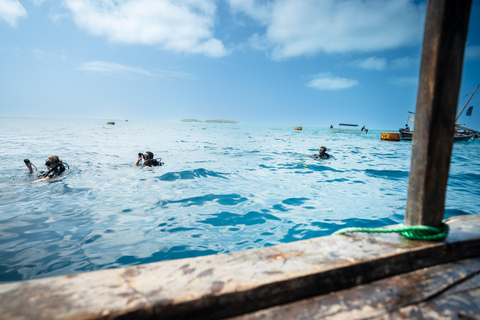 Zanzibar : 2 jours de plongée sous-marine quatre plongéesavec transfert à l&#039;hôtel