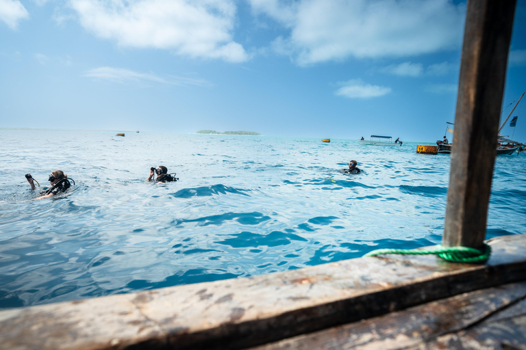 Zanzibar : 2 jours de plongée sous-marine quatre plongéesavec transfert à l&#039;hôtel