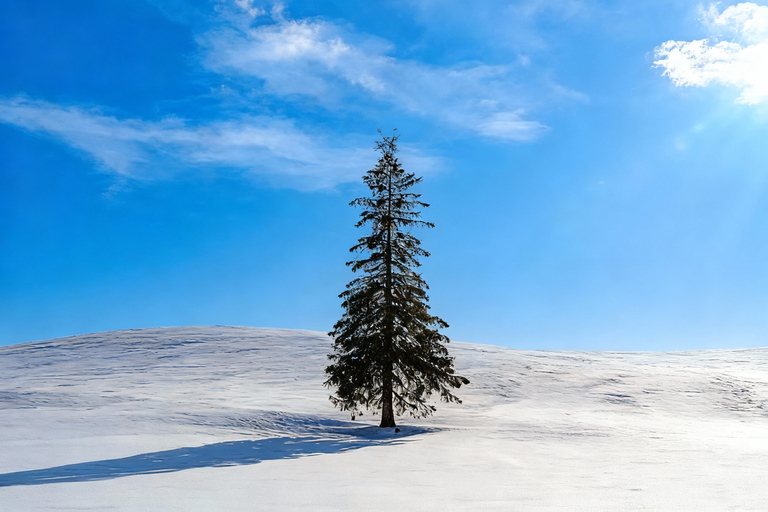 Sapporo : Excursion d&#039;une journée à Bibai Snowland, Otaru et la chocolaterie8:10 Rendez-vous à la tour de télévision de Sapporo