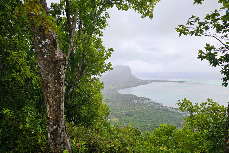 South West Mauritius : Ebony Forest Nature Escape with Lunch Into the Wild South: Ebony Forest Nature Escape with Lunch