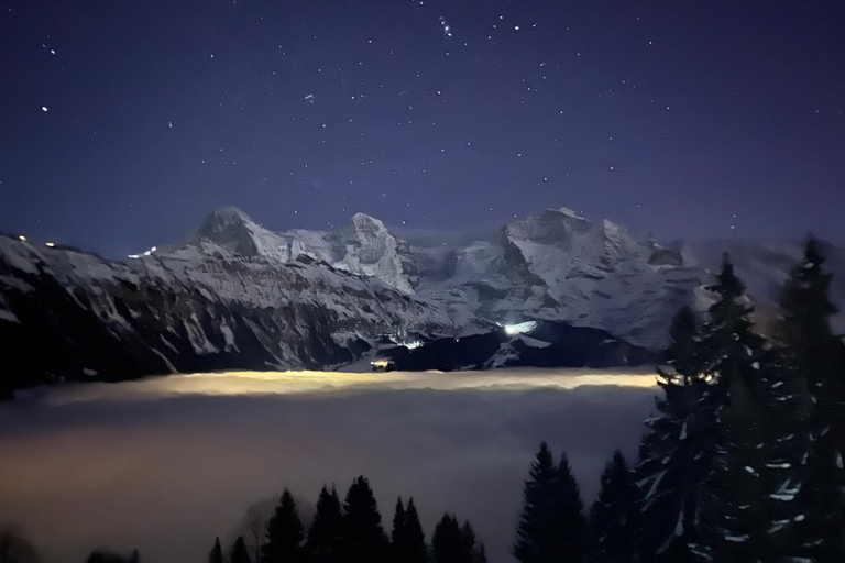 Interlaken: Night Sledding & Fondue Dinner with Guide