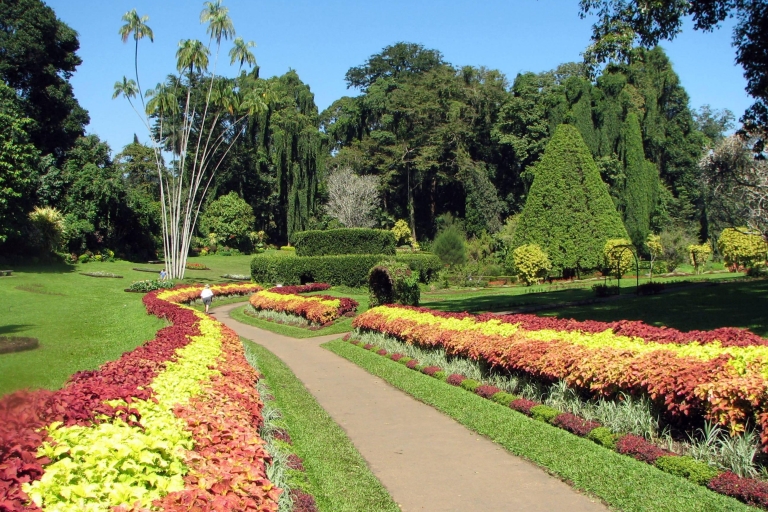 From Kandy: Pinnawala and Botanical Garden Tour By Tuk Tuk