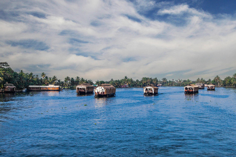 5-Day Kerala Highlights Tour with Overnight Houseboat Stay 3 Star Hotel Accommodation
