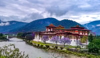 6 Days Bhutan Tour - Gangtey - Housity