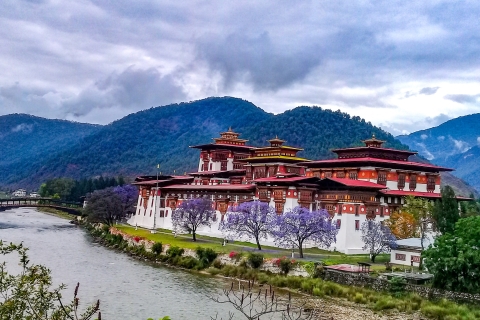 Viaje de 6 días a Bután