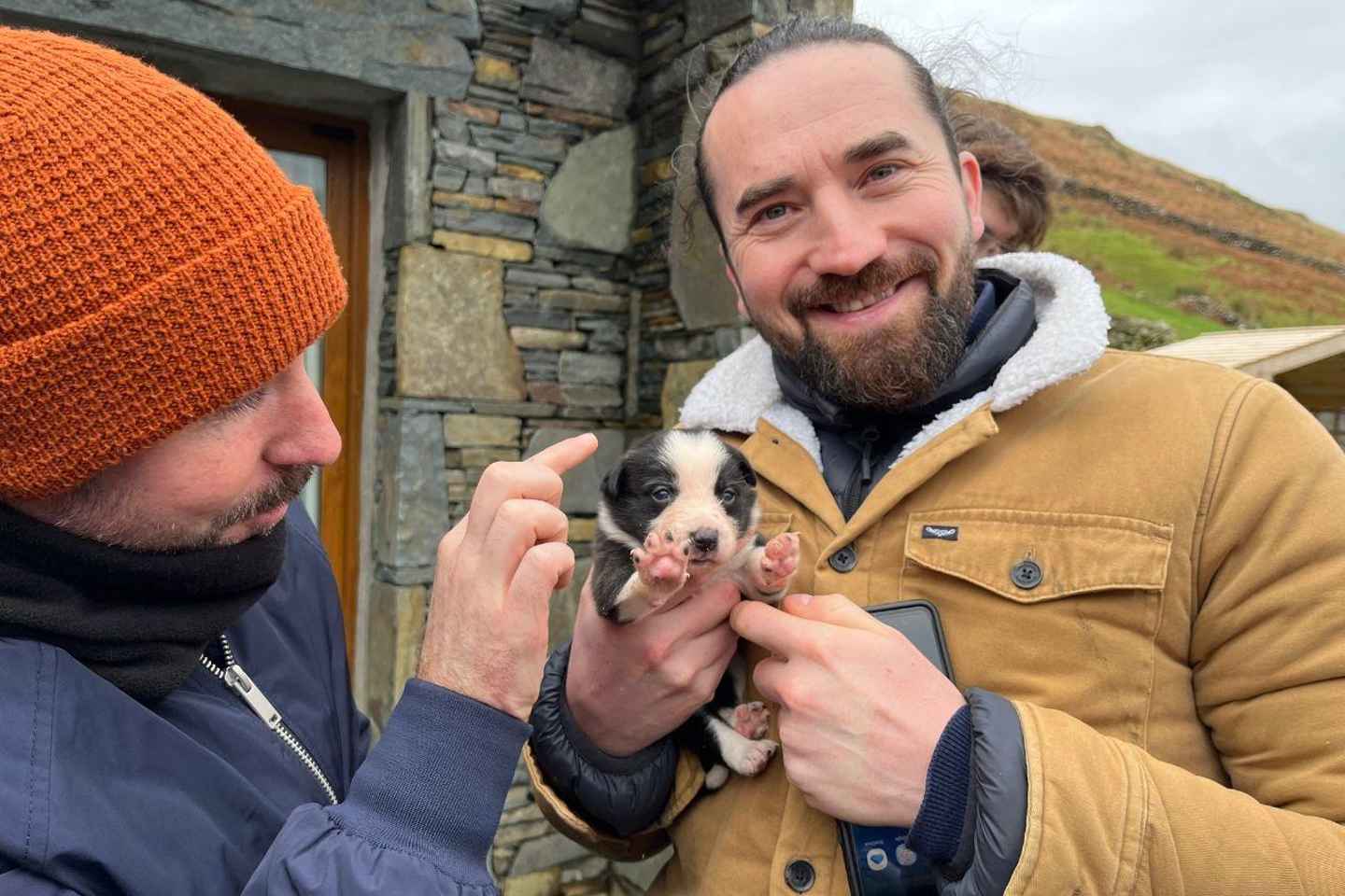 探索戈尔韦：康尼马拉、牧羊犬秀与古堡之旅