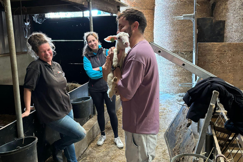 Amsterdam: Ser, wiatrak i wiejska wycieczka rowerowa