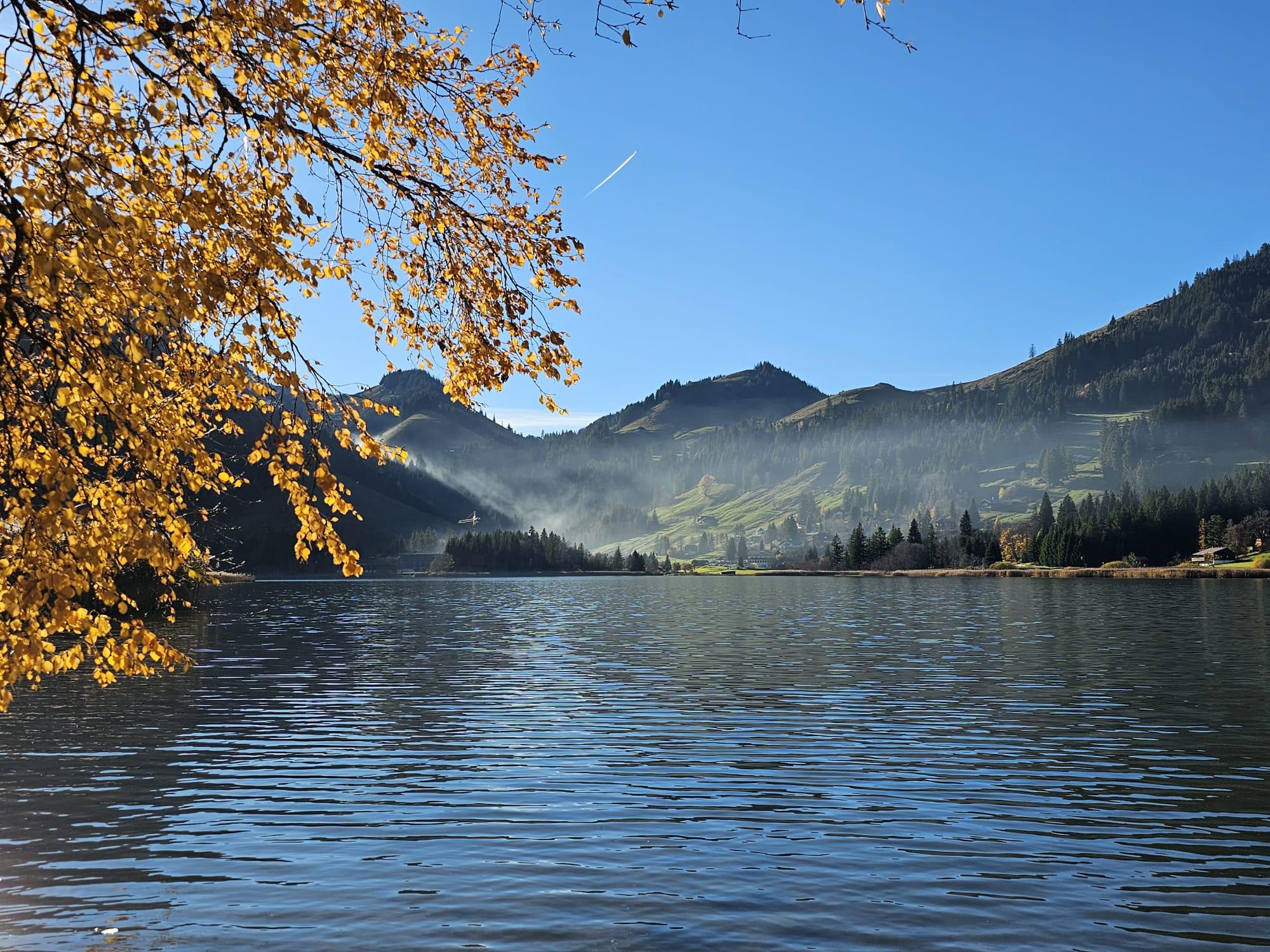 Ab Bern: Tour mit Schokolade, Gruyère-Käse und Schweizer Kulturerbe