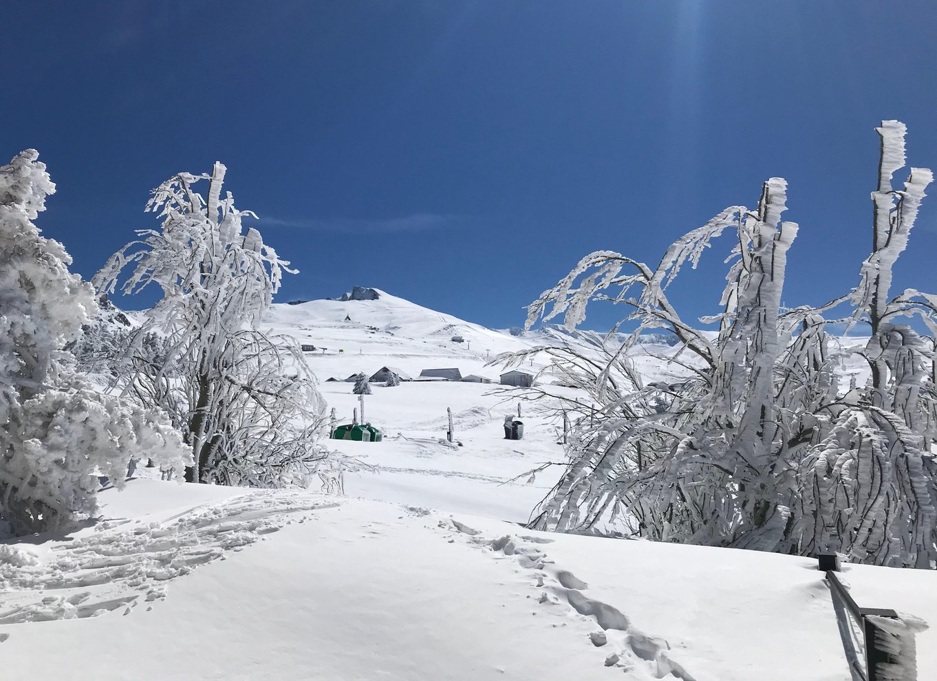 Fra Granada: Sierra Nevada Safari Tour til 2500 meters højde