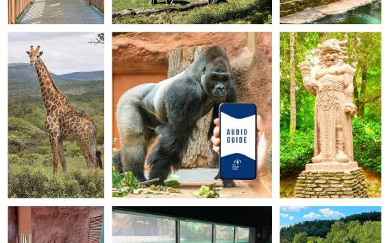 Online-Audioguide des Prager Zoos (kein Ticket)