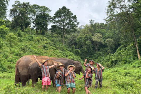 Chiang Mai | TeeTee Elephant Home Elephant Care Half-Day