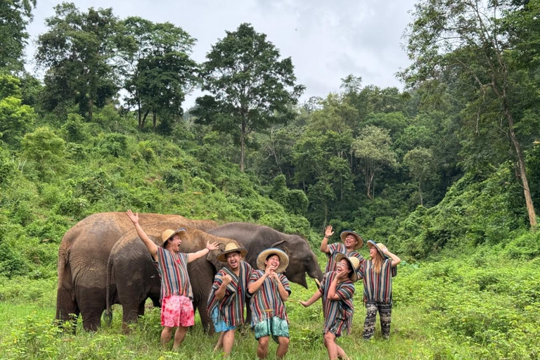 Chiang Mai | TeeTee Elephant Home Cura degli elefanti Mezza giornata