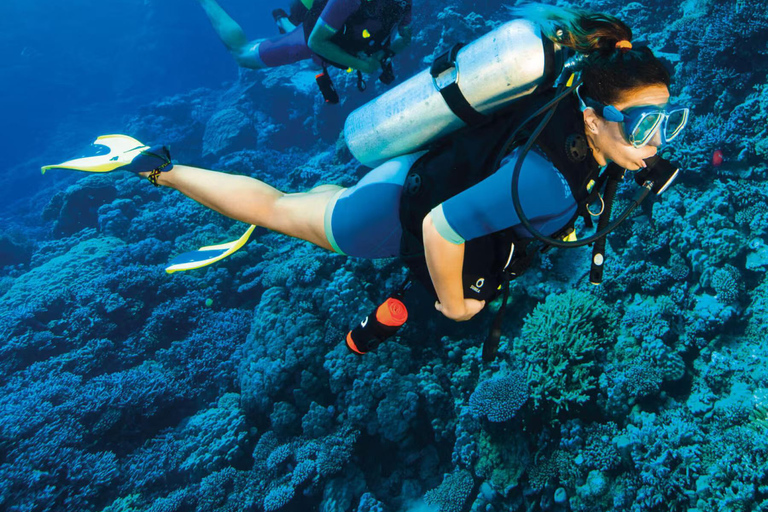 Kemer Scuba Diving med expertdykning som tillvalDykning i Kemer med transfer och lunch