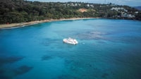 Sosua Sunset Party Boat e Snorkeling - Housity