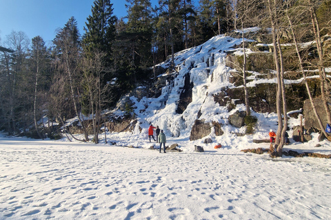 Panoramagipfel – Oslos beste Wanderung mit Blick auf die FjordePanoramische Gipfel – Oslos beste Wanderung mit Fjordblick