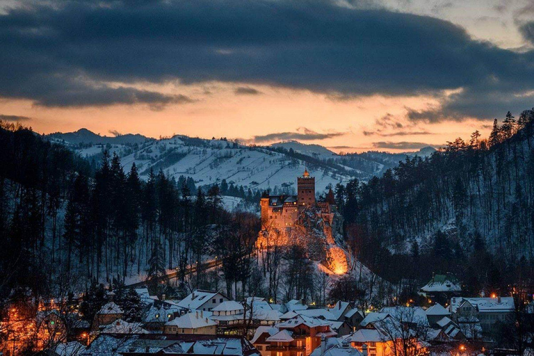 Brașov: Bear Sanctuary and Bran Castle With Tickets