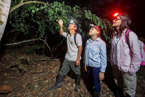Puerto Maldonado: 3-Day Amazon Lodge Tour with Pool
