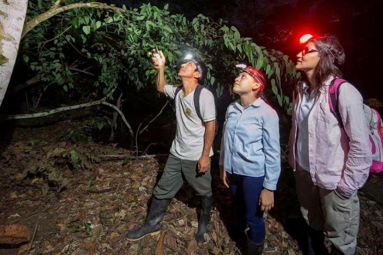 Puerto Maldonado: 3-Day Amazon Lodge Tour with Pool