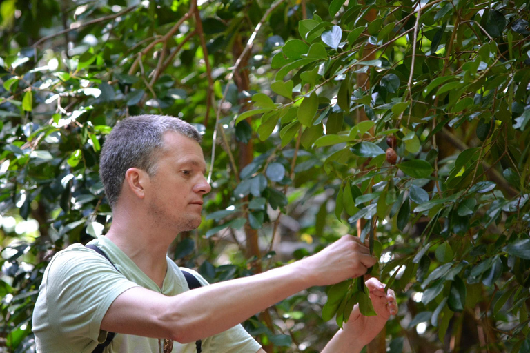 Mauritius nationalpark: Upptäck ön som den en gång var