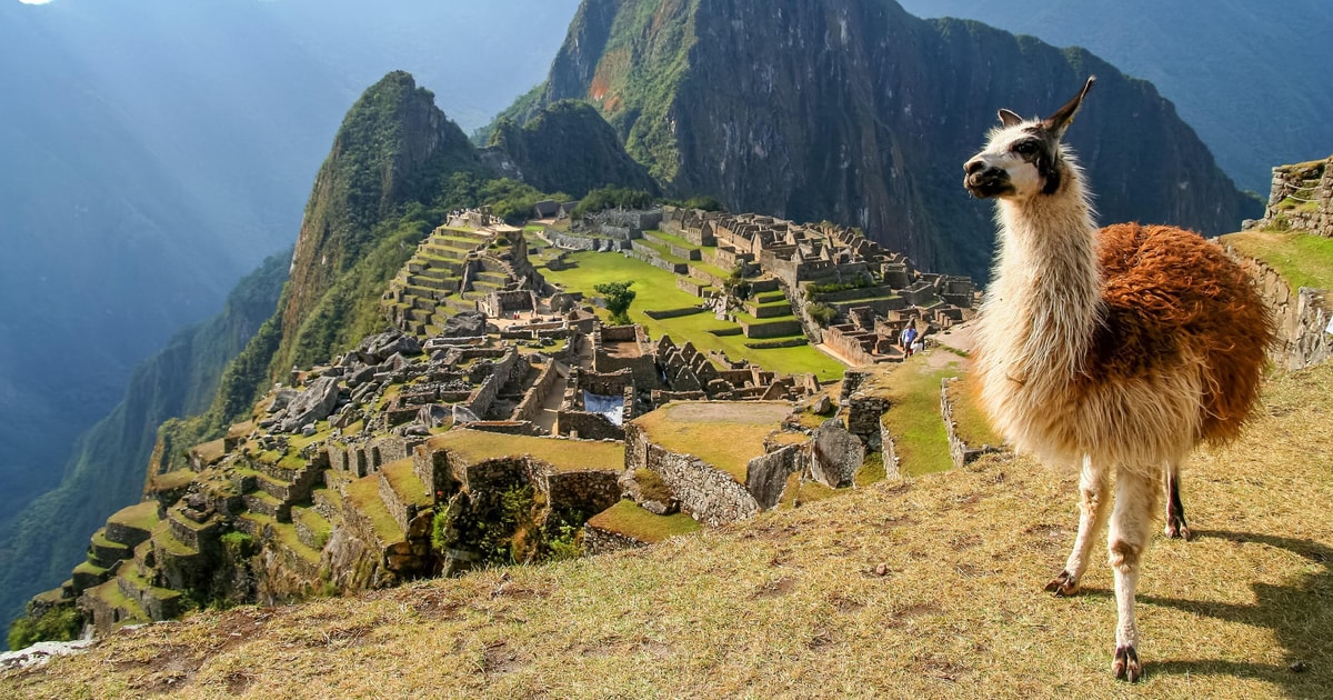 Machu Picchu In Un Giorno - Giornata Intera 