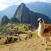 Machu Picchu In Un Giorno - Giornata Intera 