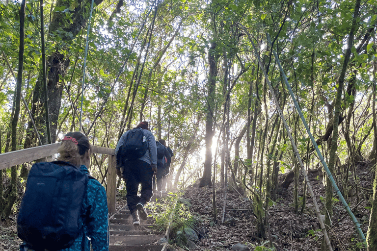 Barú Volcano (4x4 ride)