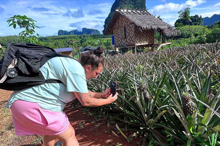 Ao Nang: Crystal Pool kajakken, ATV en ananasboerderij tour1 Uur ATV Rit