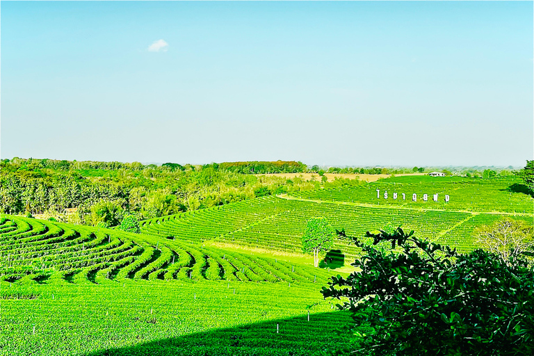 Chiang Rai: Private Bespoke Sightseeing Tour Chiang Rai: Private Bespoke Sightseeing Tour