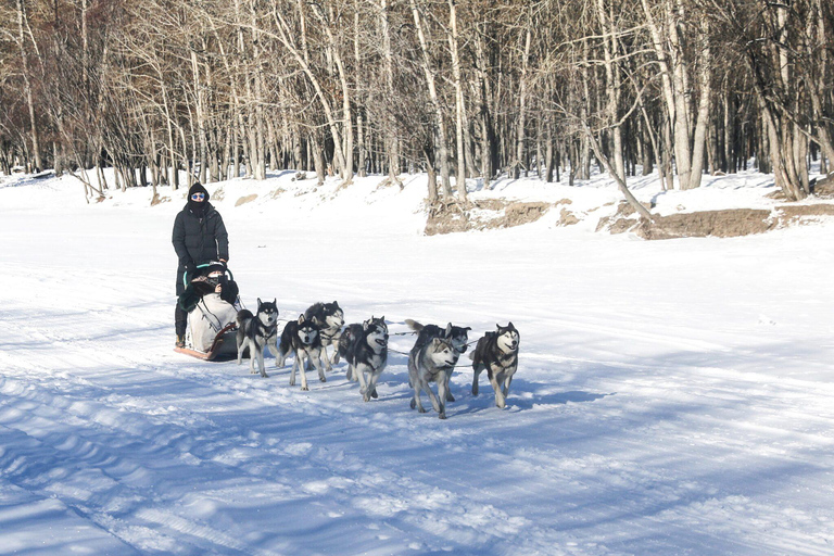 New Year's Day Sunrise Train & Terelj Winter Tour