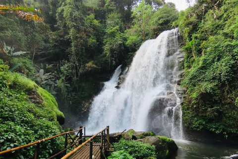 Chiang Mai: Doi Inthanon Pha Dok Siew Trek & Karen Culture
