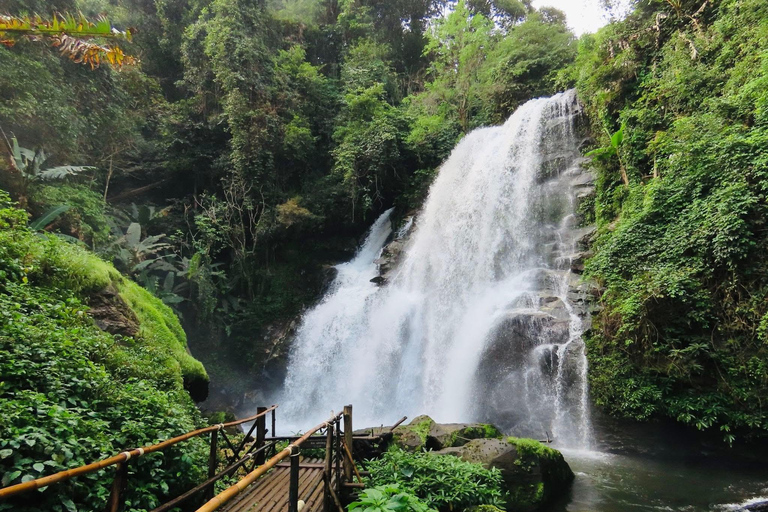 Chiang Mai: Doi Inthanon Pha Dok Siew Trek & Karen Culture