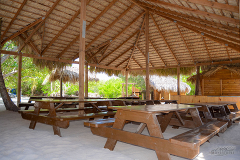 Desde Punta Cana: tour de esnórquel en Catalina y Altos de Chavón