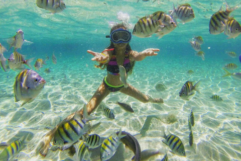 Puerto Plata: Cayo Arena Tour with Snorkeling & Lunch