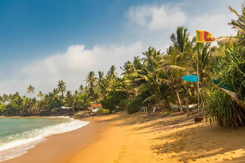 Negombo: tour guiado na cidade de tuk tuk com serviço de busca no hotel