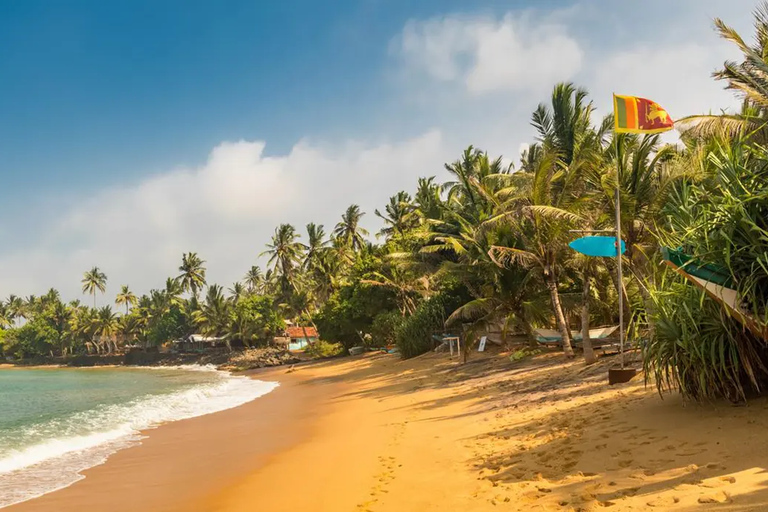 Negombo: tour guiado na cidade de tuk tuk com serviço de busca no hotel