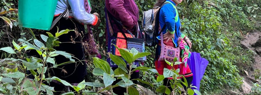 1 Jour Sapa Trek&Déjeuner maison HmongSisterHouse&Trekking
