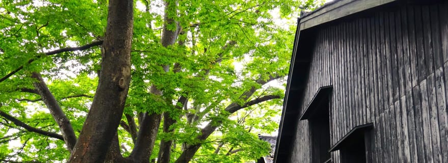 Sakata Yamagata : excursion privée de 3 heures à terre pour les passagers de croisière