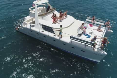 Catamaran marine-life cruise with swimmers in Tenerife