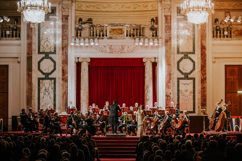 Wenen: Strauss en Mozart Concert in Paleis HofburgNieuwjaarsconcert: Categorie 2