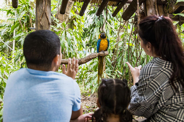 Miami: Dschungelinsel Allgemeiner Eintritt