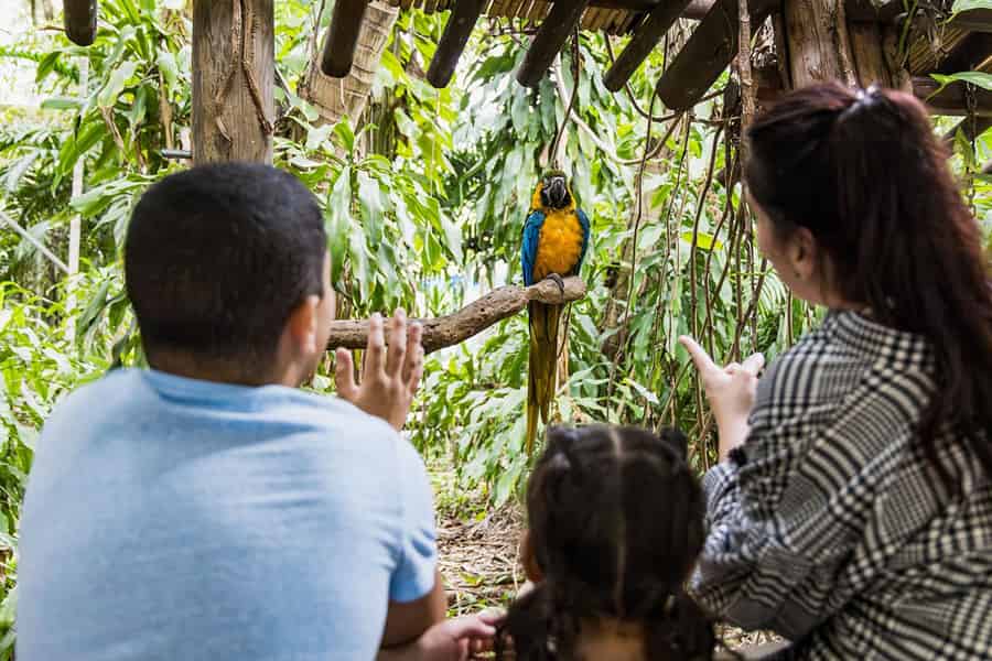 Miami: Jungle Island – Allgemeiner Eintritt. Foto: GetYourGuide