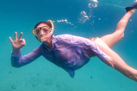 From Diani: Kenya's Ultimate Dolphin & Snorkeling Day Trip