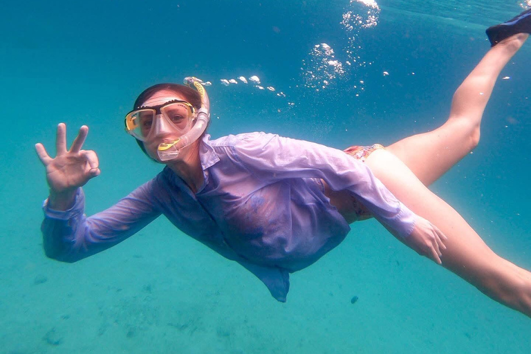 From Diani: Kenya's Ultimate Dolphin & Snorkeling Day Trip